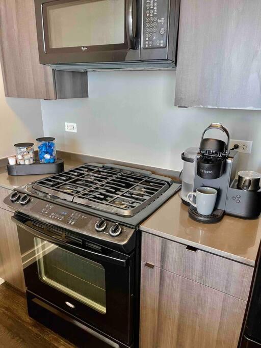 דירות Penthouse In South Loop שיקגו מראה חיצוני תמונה